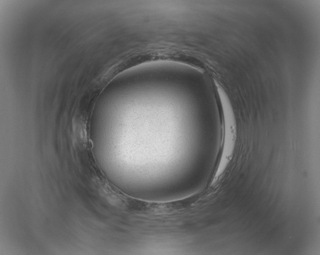 X0000077991155200611101721