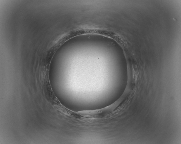 X0000077991157200611101721