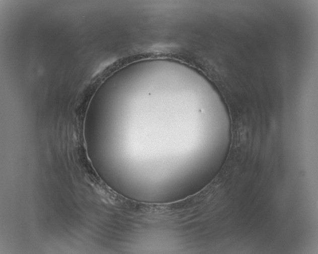 X0000077991158200611101721