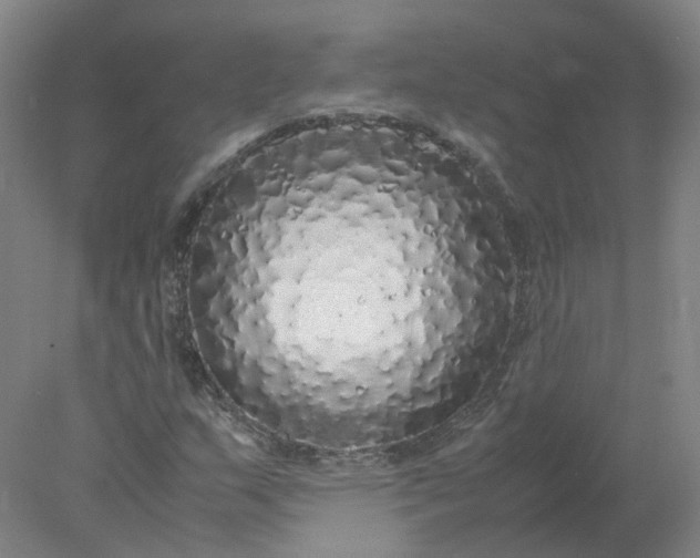 X0000077991159200611101721