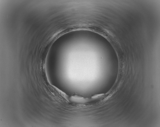 X0000077991161200611101721