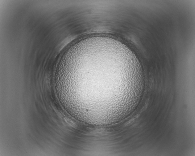 X0000077991162200611101721