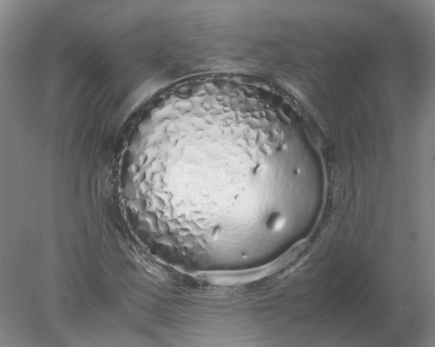 X0000077991163200611101721