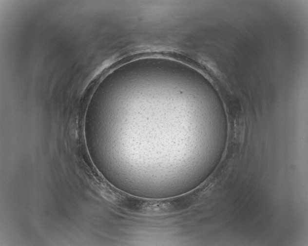 X0000077991165200611101720