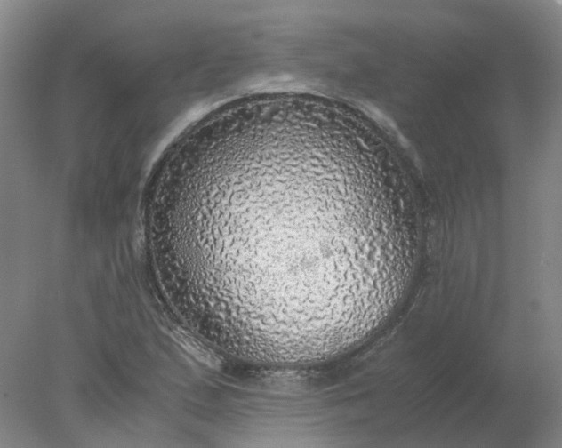 X0000077991167200611101720