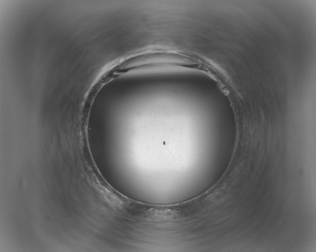 X0000077991168200611101720