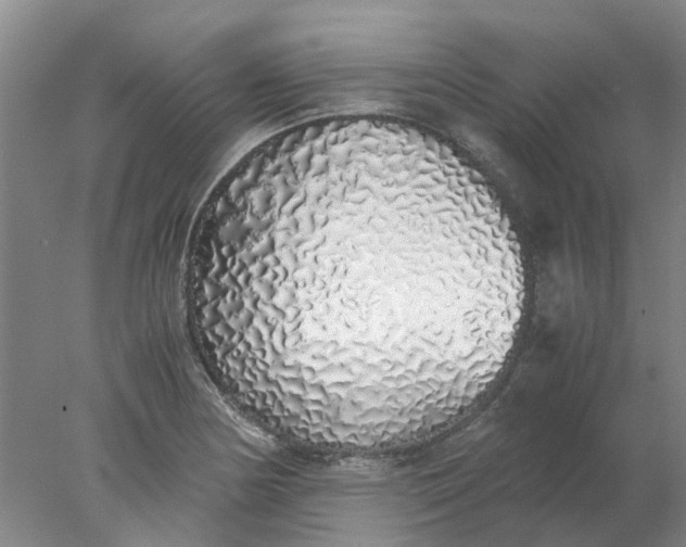 X0000077991178200611101720