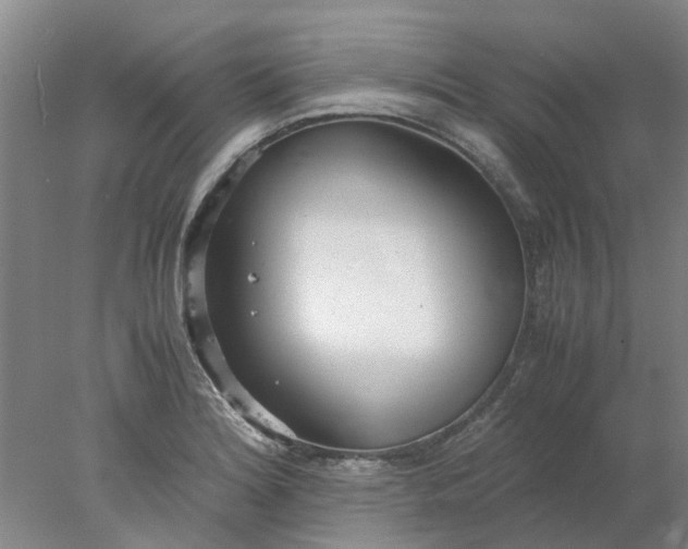 X0000077991180200611101720