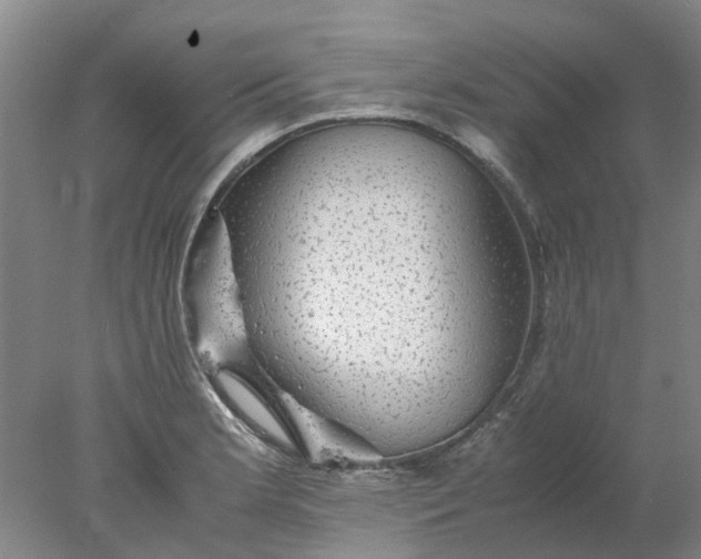 X0000077991181200611101720