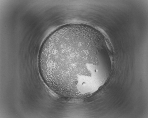 X0000077991183200611101720