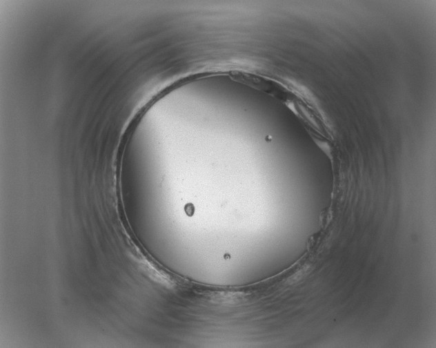 X0000077991184200611101720