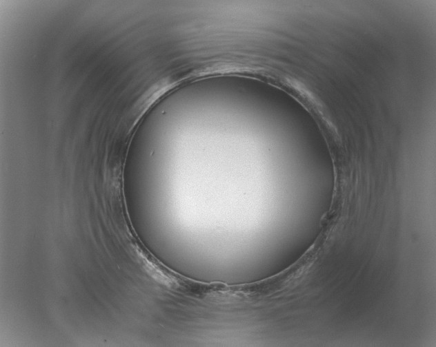 X0000077991185200611101720