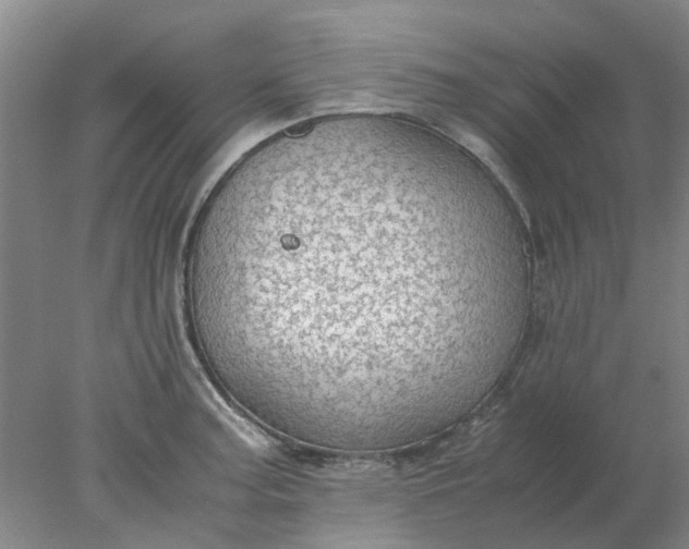 X0000077991187200611101720