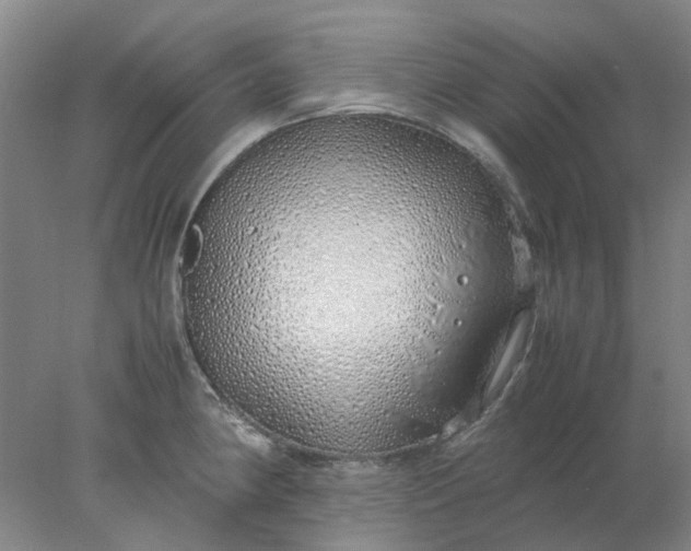 X0000077991190200611101720