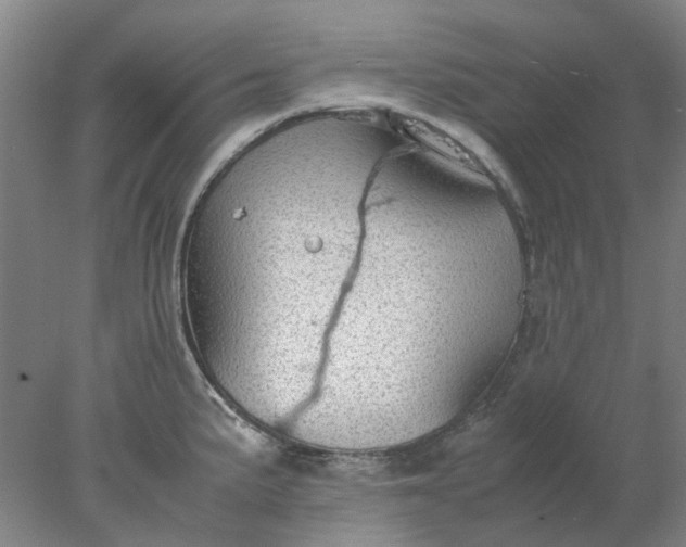 X0000077991191200611101720