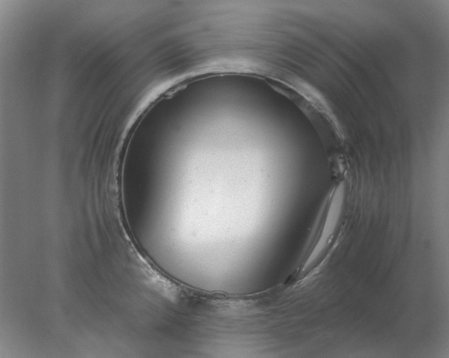 X0000077991192200611101720