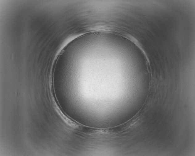 X0000077991195200611101720