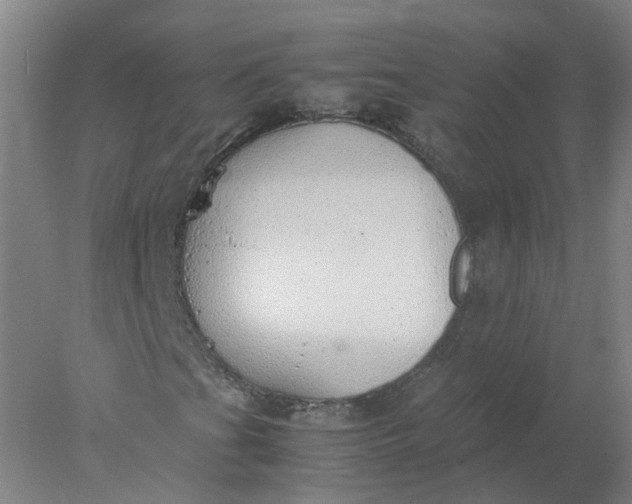 X0000077991201200611101719