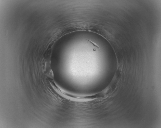 X0000077991202200611101719