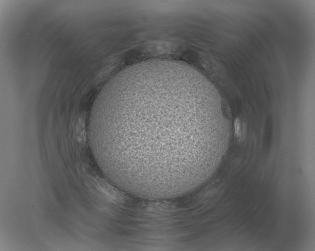 X0000077991203200611101719