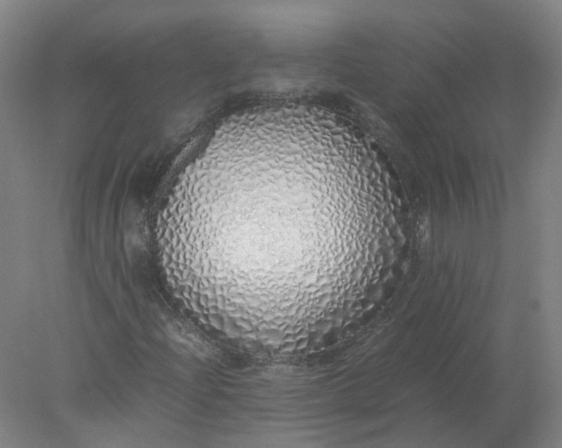 X0000077991204200611101719