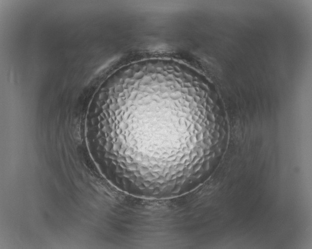 X0000077991205200611101719