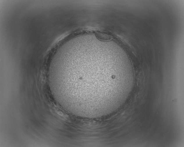 X0000077991207200611101719