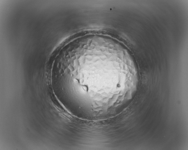 X0000077991208200611101719