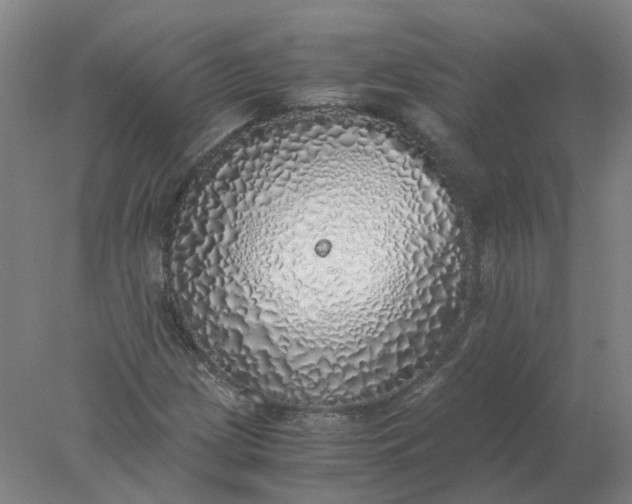 X0000077991209200611101719