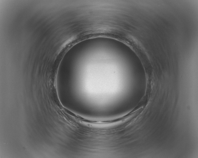 X0000077991210200611101719