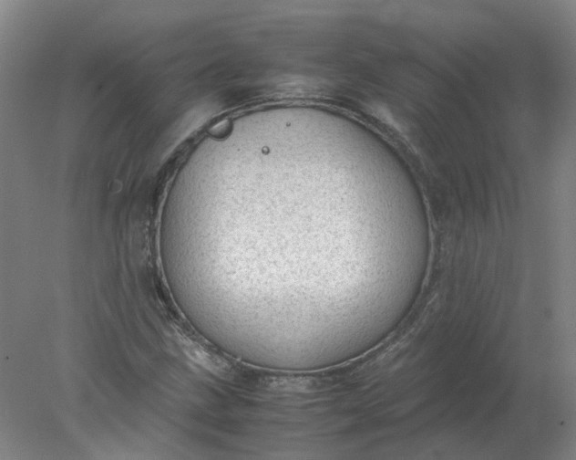 X0000077991211200611101719