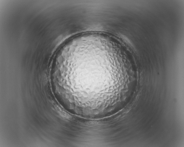 X0000077991212200611101719