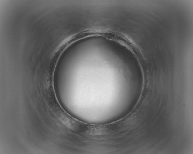 X0000077991213200611101719