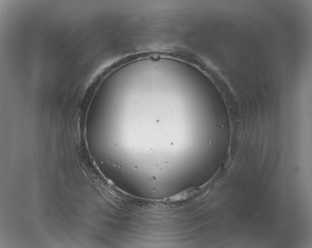 X0000077991214200611101719