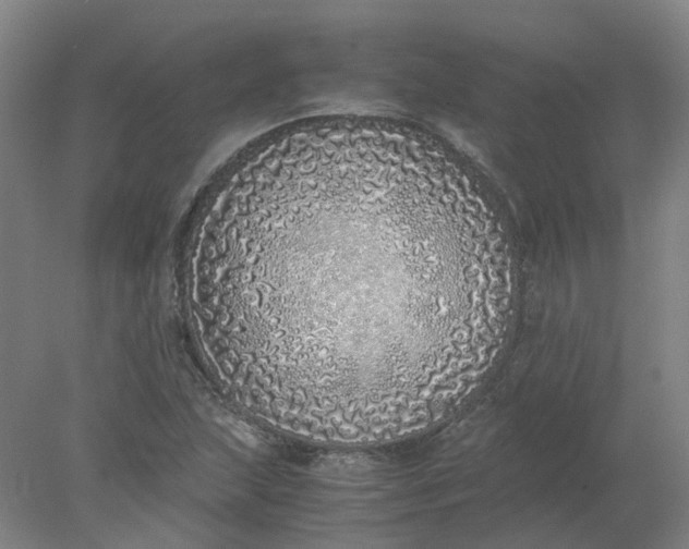 X0000077991215200611101719