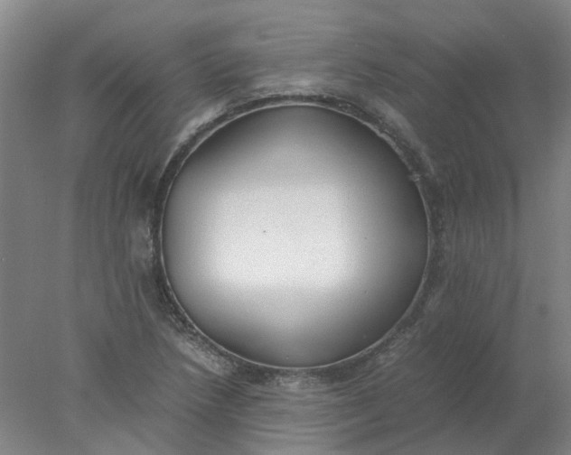 X0000077991218200611101719