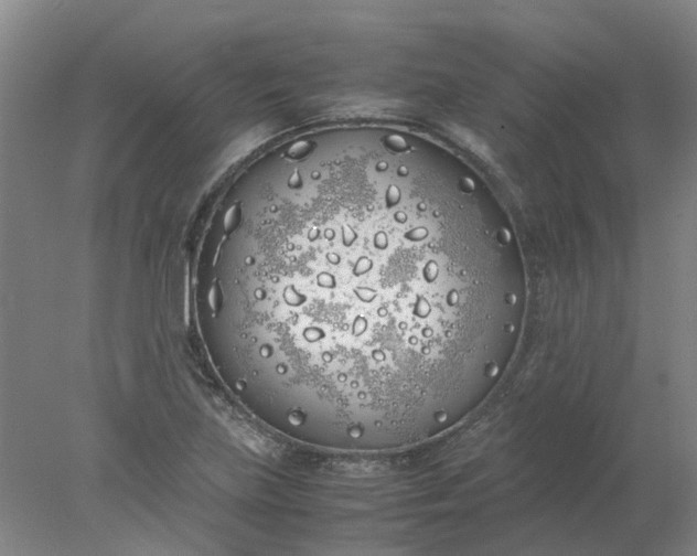 X0000077991219200611101719