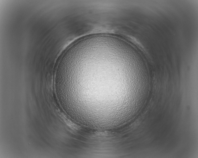 X0000077991220200611101719