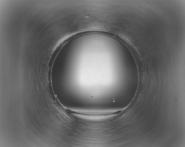 X0000077991222200611101719