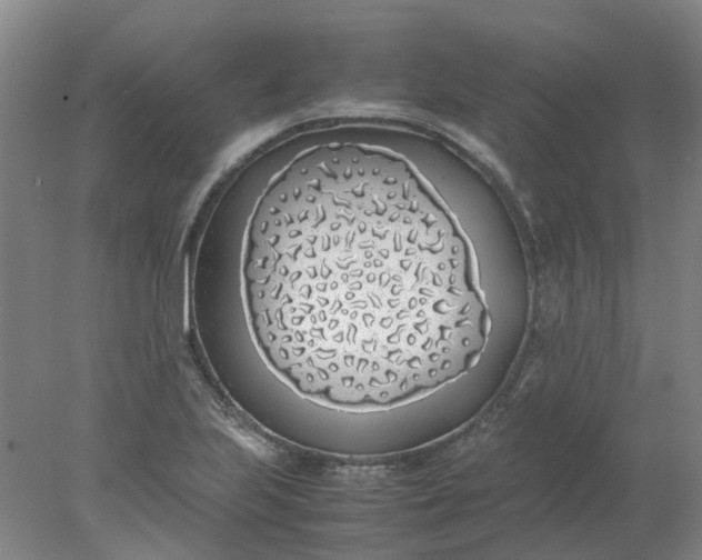 X0000077991223200611101719