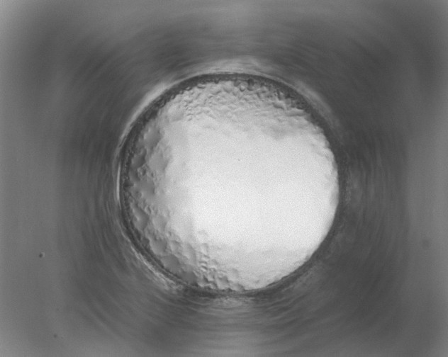 X0000077991224200611101719