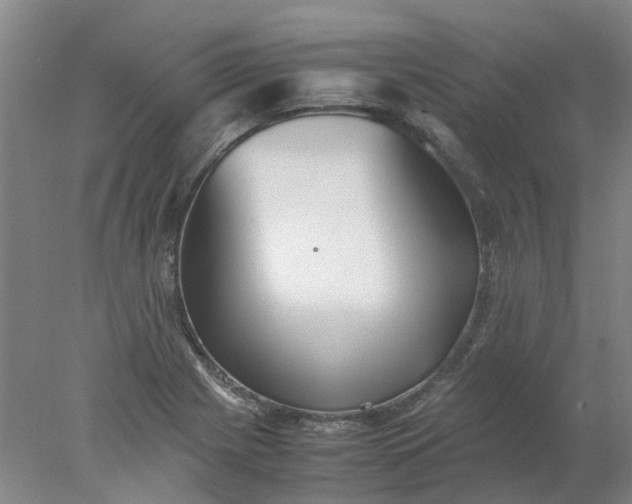 X0000077991225200611101719