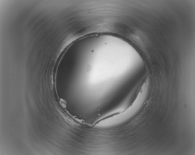 X0000077991226200611101719