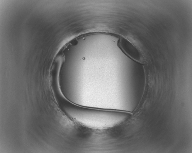 X0000077991230200611101720