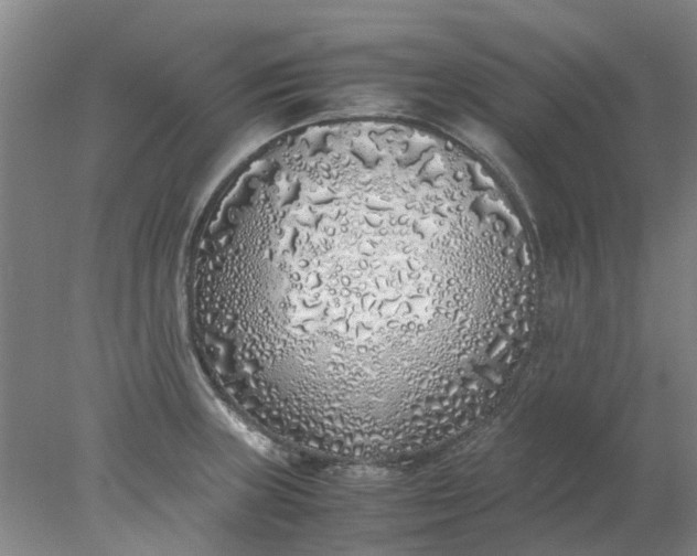 X0000077991235200611101720