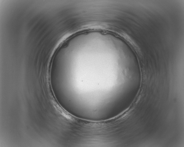 X0000077991240200611101720