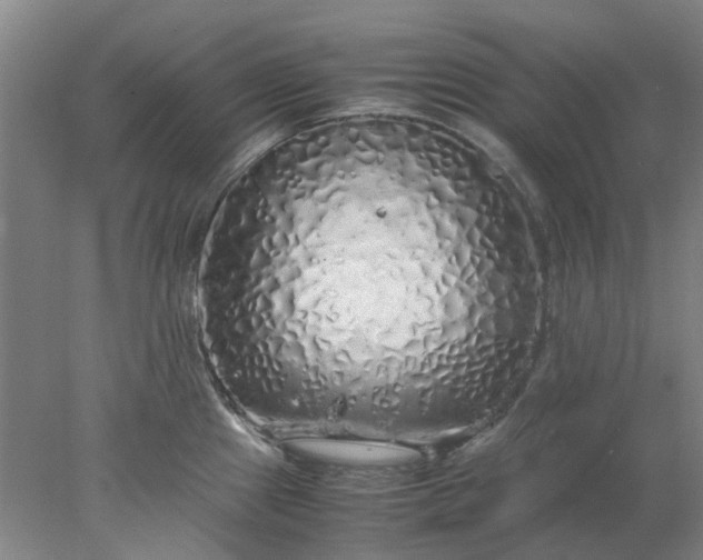 X0000077991241200611101720