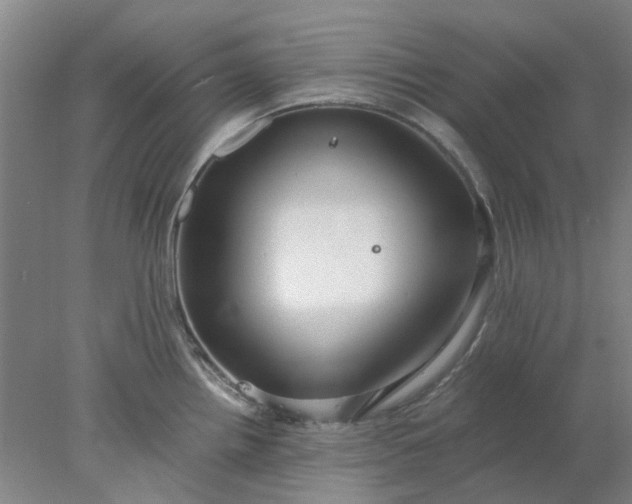 X0000077991242200611101720