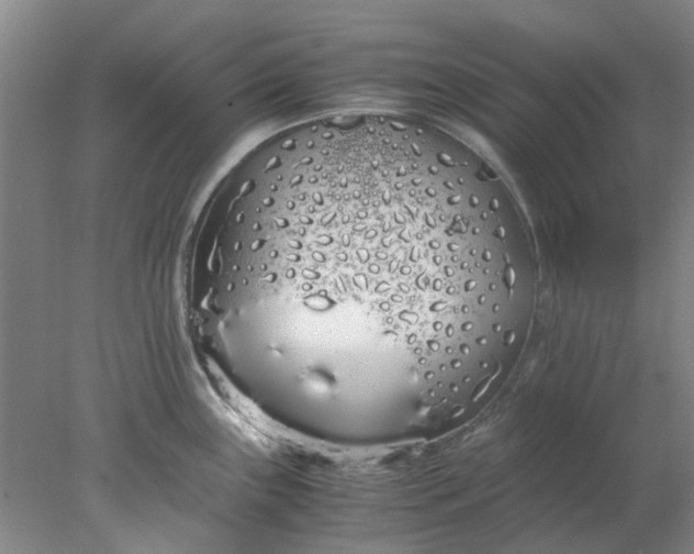 X0000077991243200611101720