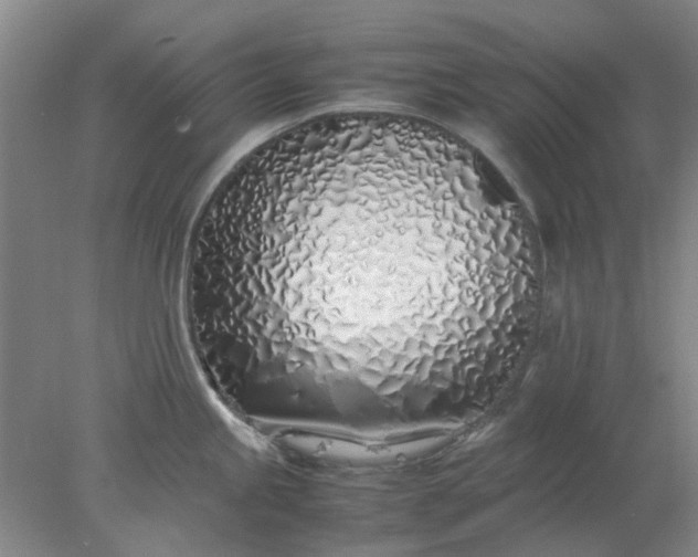 X0000077991245200611101720